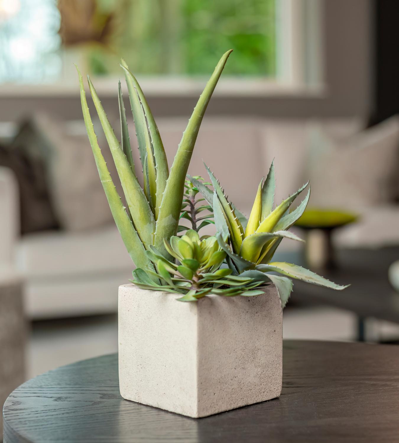Assorted Artificial Cactus in Grey Pot