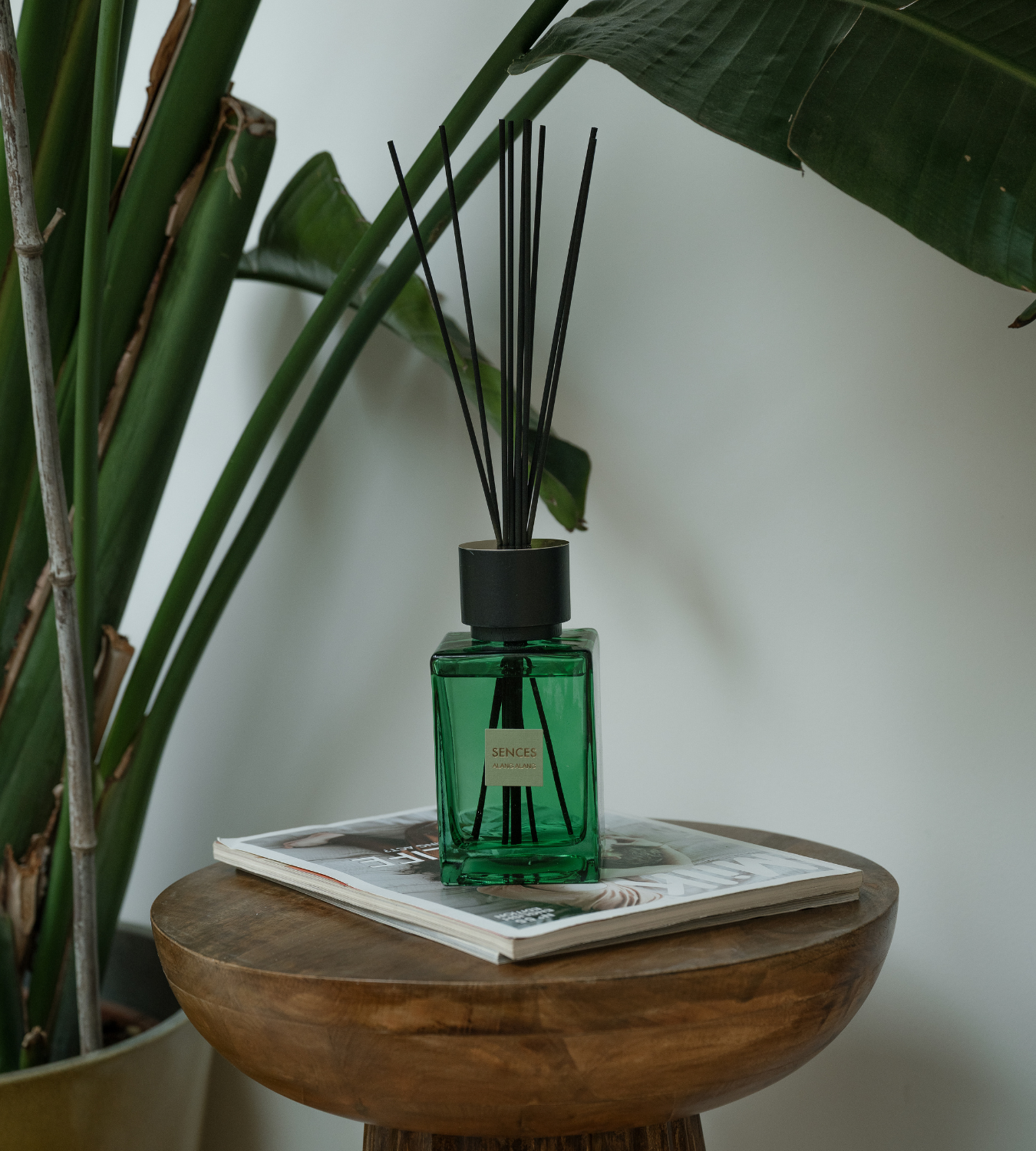 Large Citrus Verbena Alang Alang Reed Diffuser