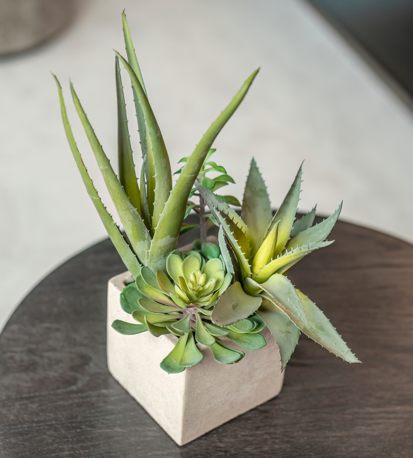Assorted Artificial Cactus in Grey Pot
