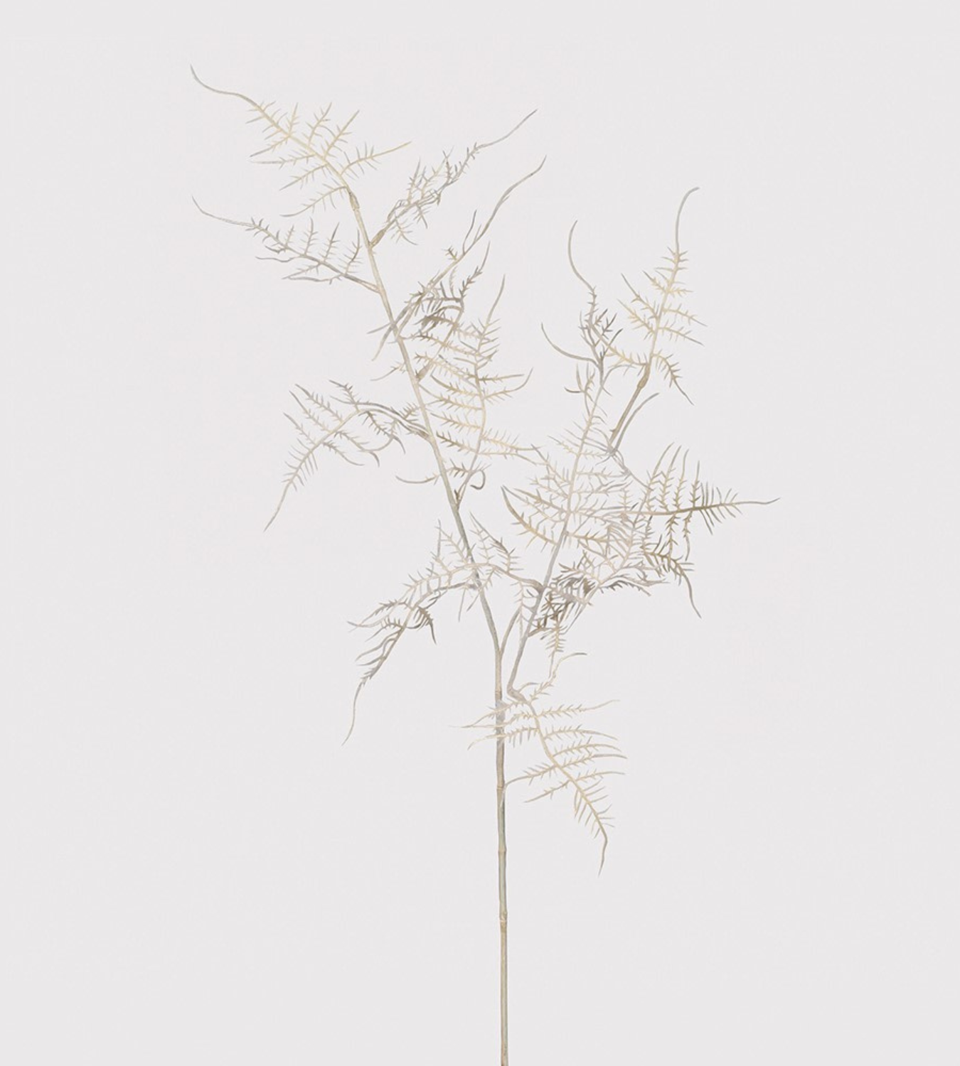 Ghost White Asparagus Fern Spray | Chloe Jade Home | Artificial Floral Stems
