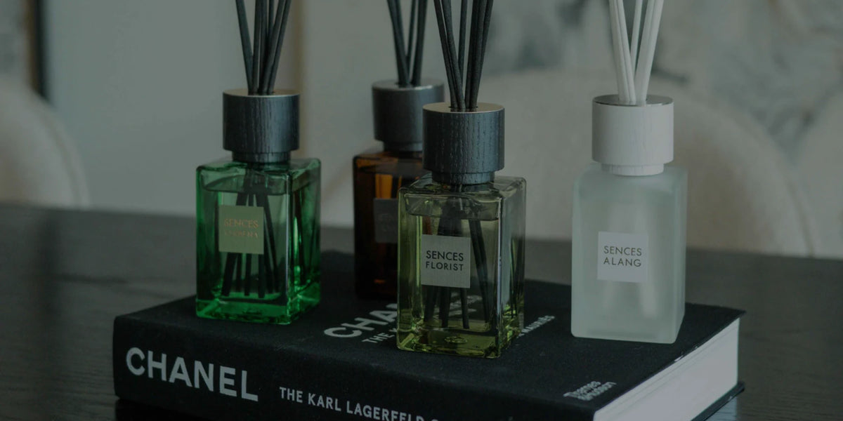 Small Desktop Reed Diffuser Shop Small Sences Reed Diffusers Online | Chloe Jade Home