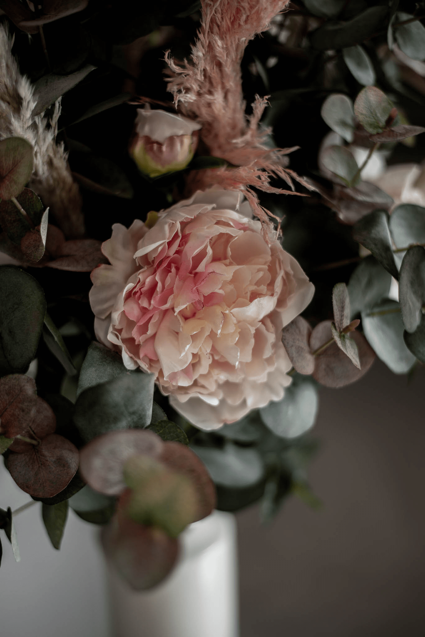 Plants - Chloe Jade Home