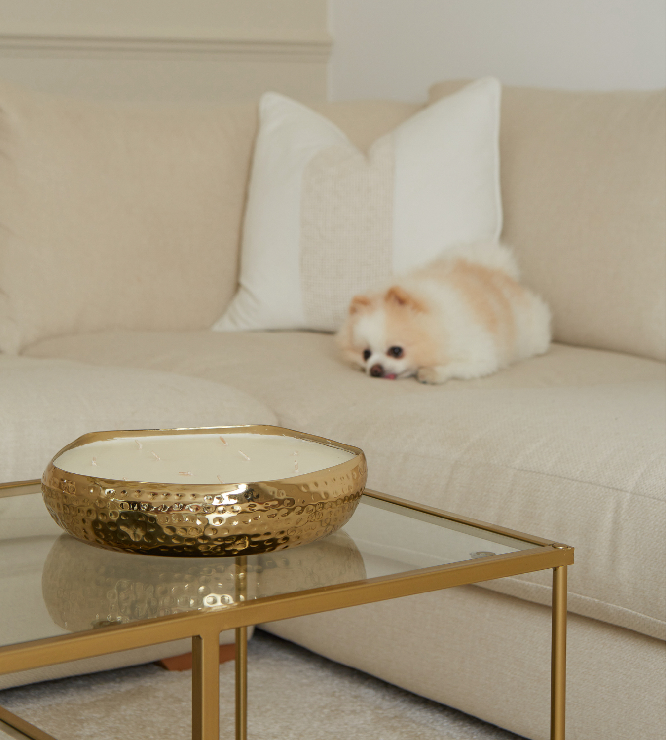 Large Gold Balsam Forest Candle in Gift Box