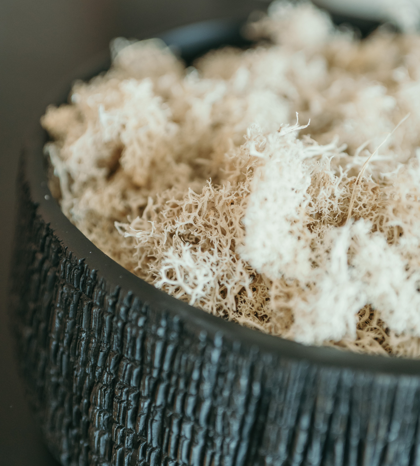 Small Low Black Yakisugi Textured Pot