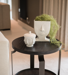 Trailing Spanish Moss