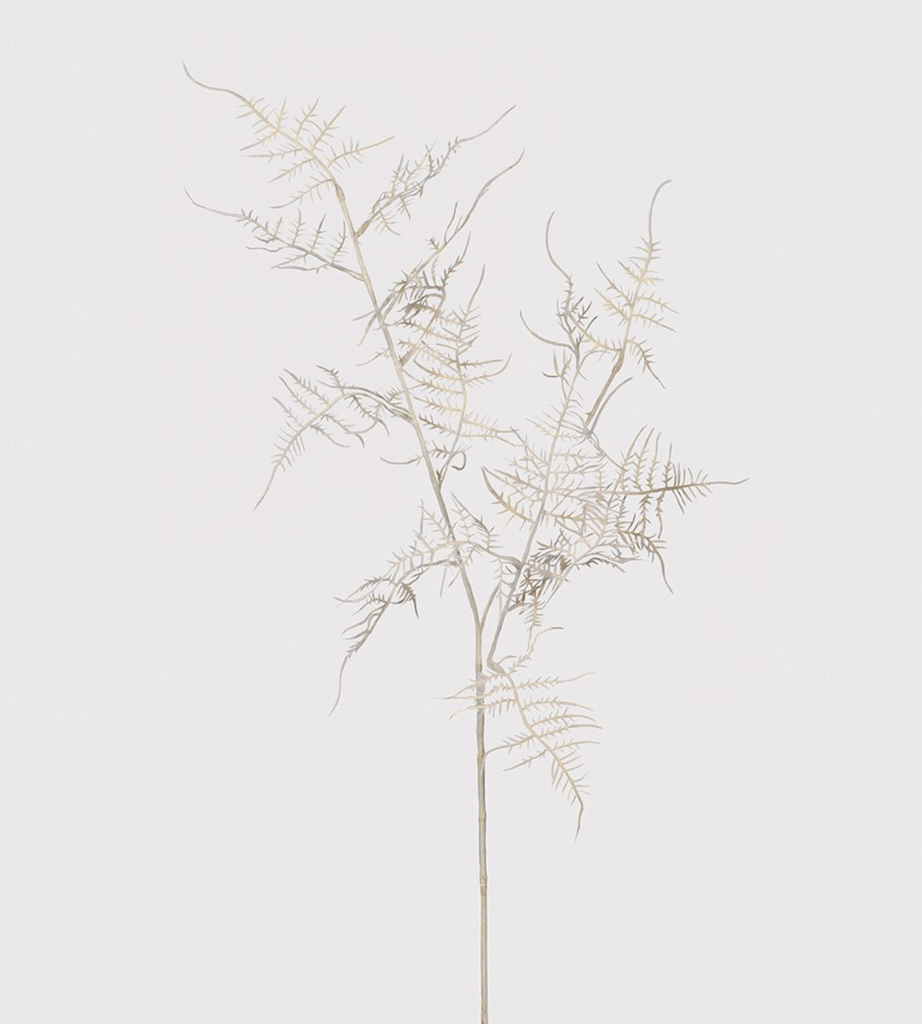 Ghost White Asparagus Fern Spray | Chloe Jade Home | Artificial Floral Stems