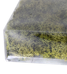Bag Of Real Green Moss