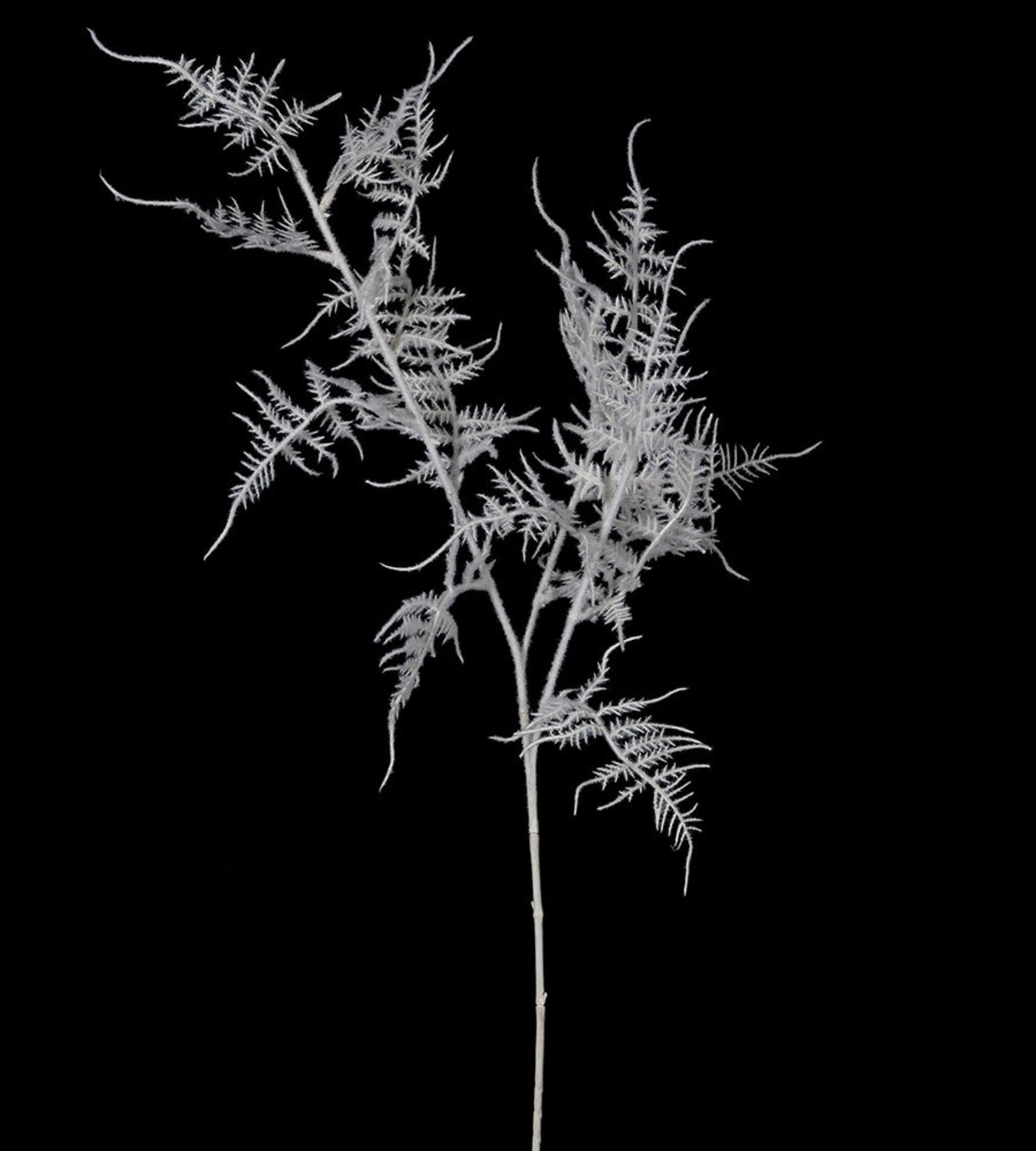 Ghost White Asparagus Fern Spray | Chloe Jade Home | Artificial Floral Stems