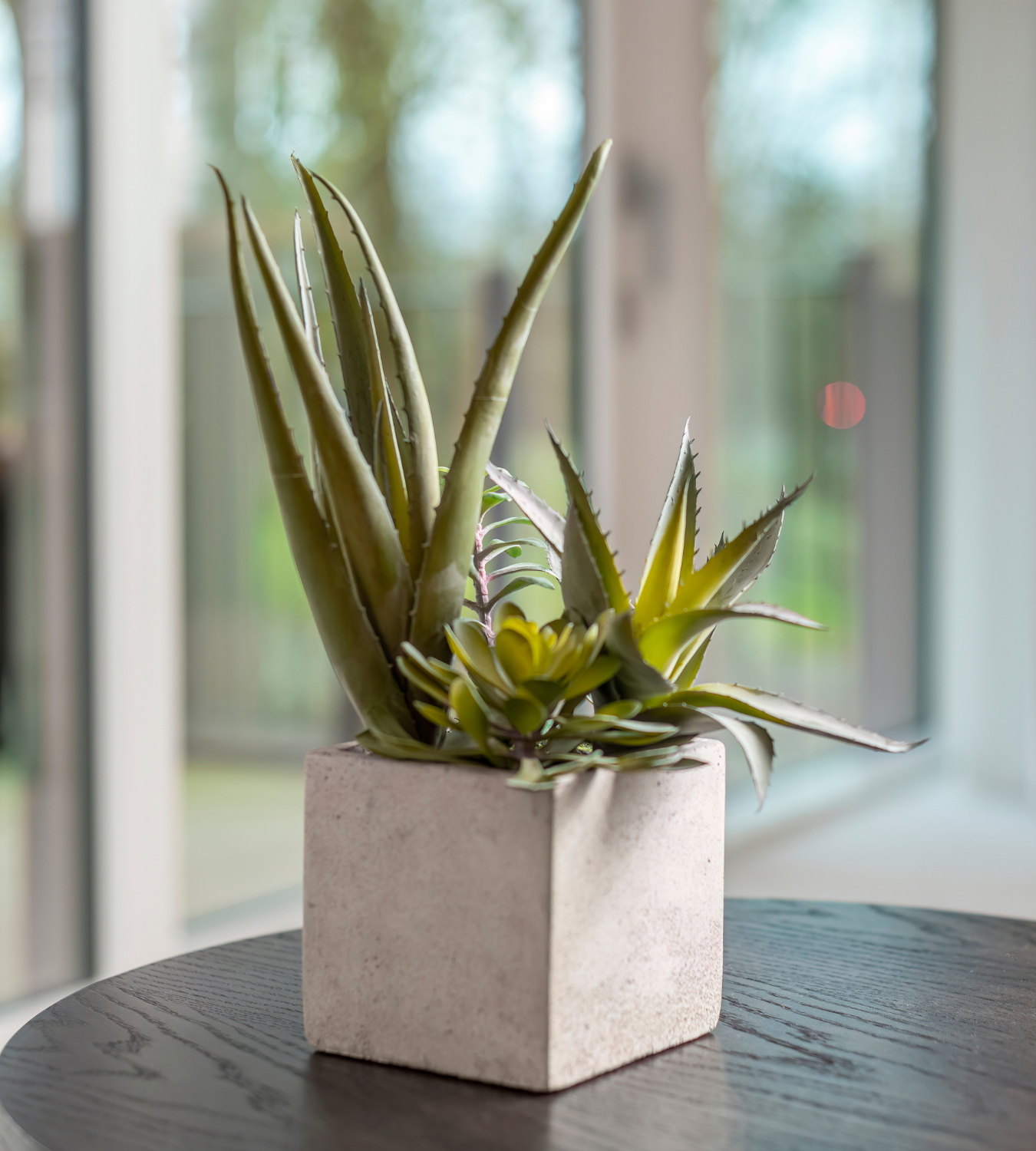 Assorted Artificial Cactus in Grey Pot