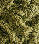 Bag Of Real Green Moss