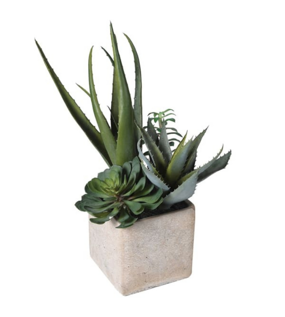 Assorted Artificial Cactus in Grey Pot