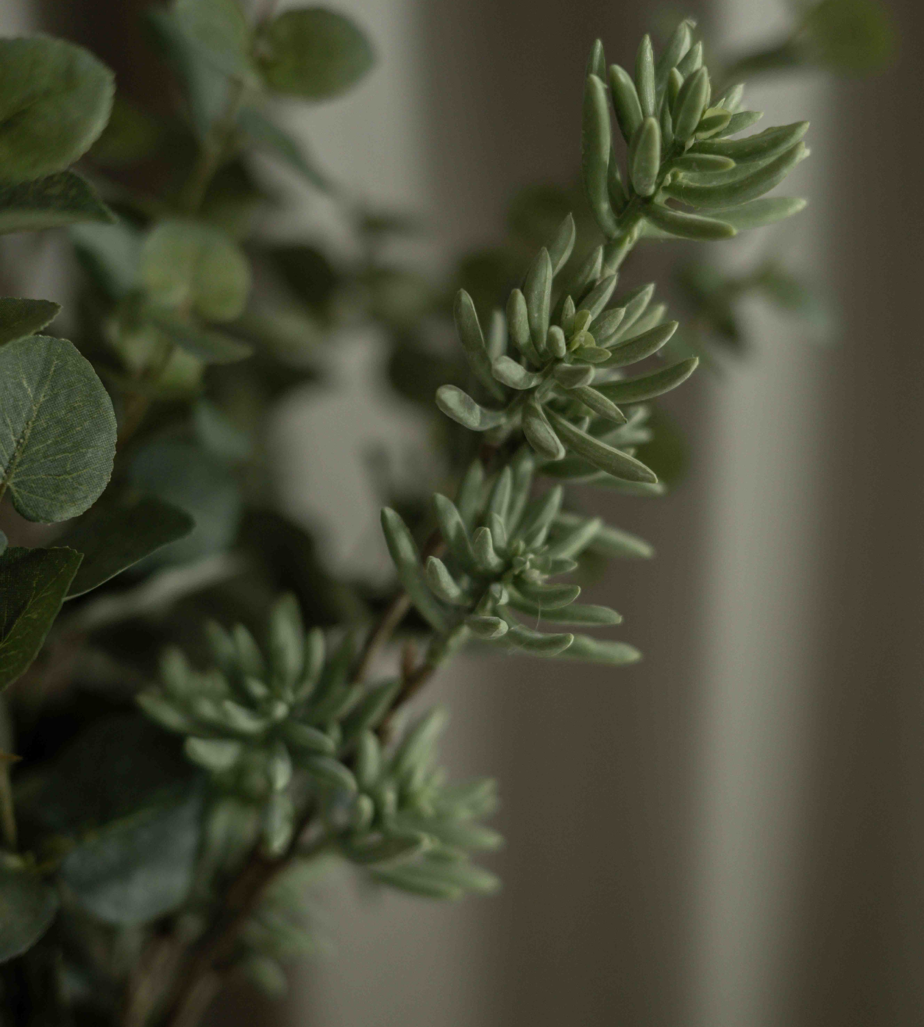 Small White Ceramic Vase