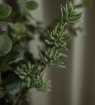 Small White Ceramic Vase
