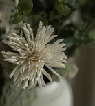 Small White Ceramic Vase