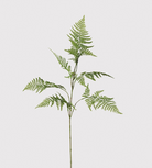 Green Asparagus Fern Spray | Artificial Flowers and Stems | Chloe Jade Home