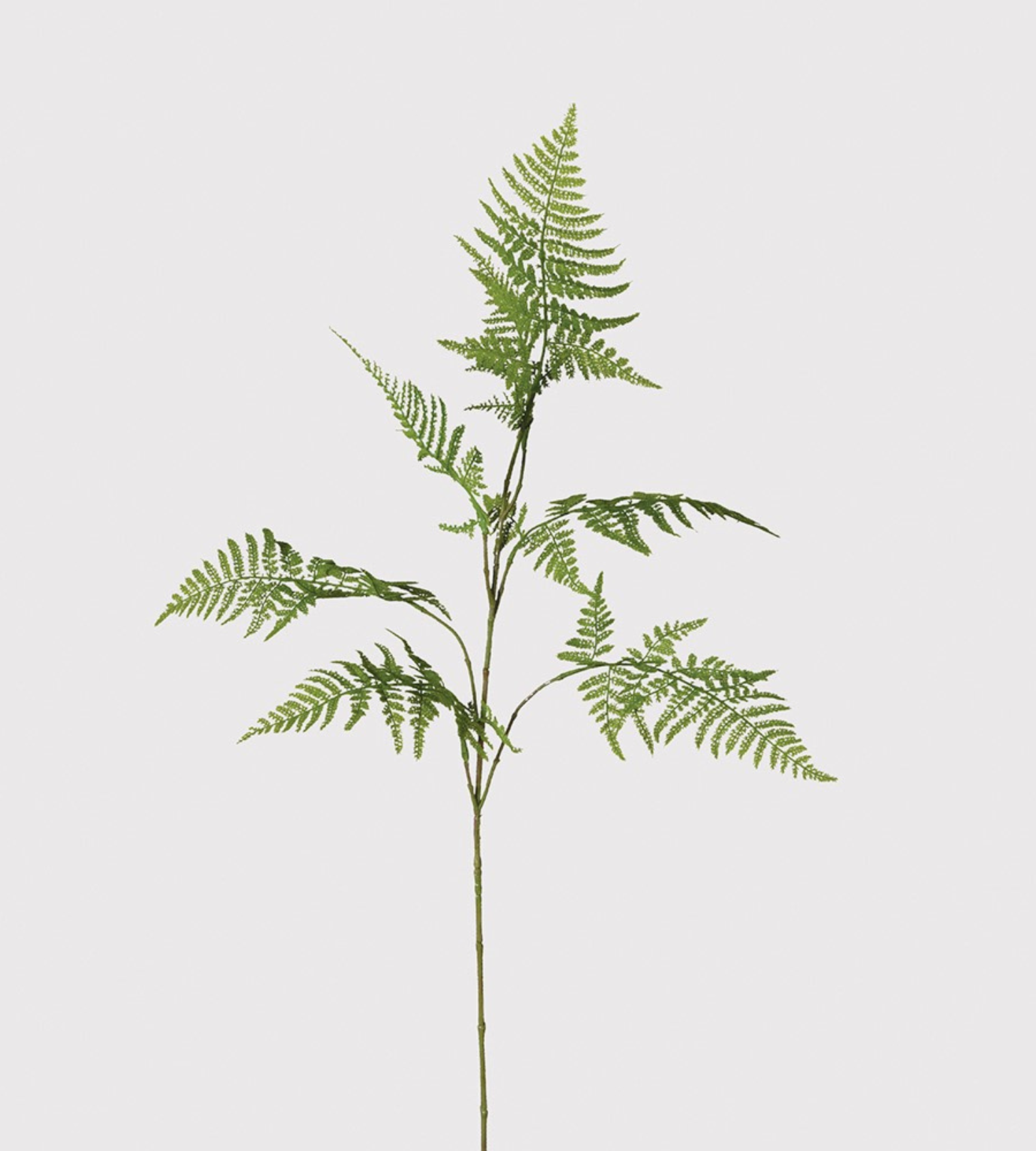 Green Asparagus Fern Spray | Artificial Flowers and Stems | Chloe Jade Home