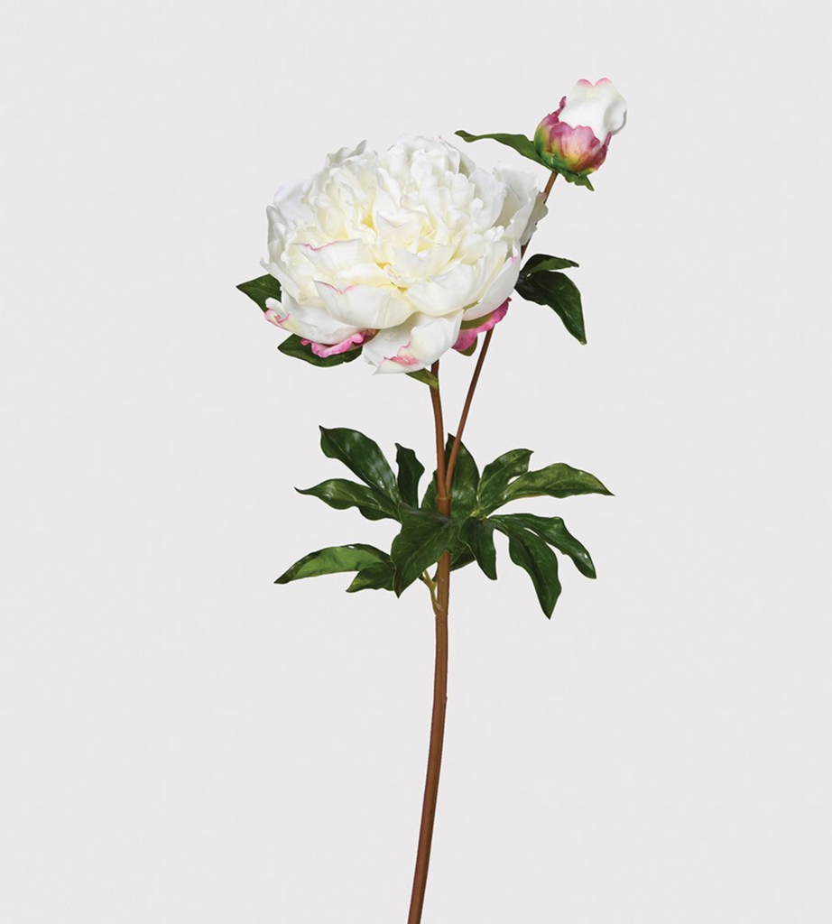 White Real Feel Open Peony with Bud and Leaves | Artificial Flowers and Stems | Chloe Jade Home