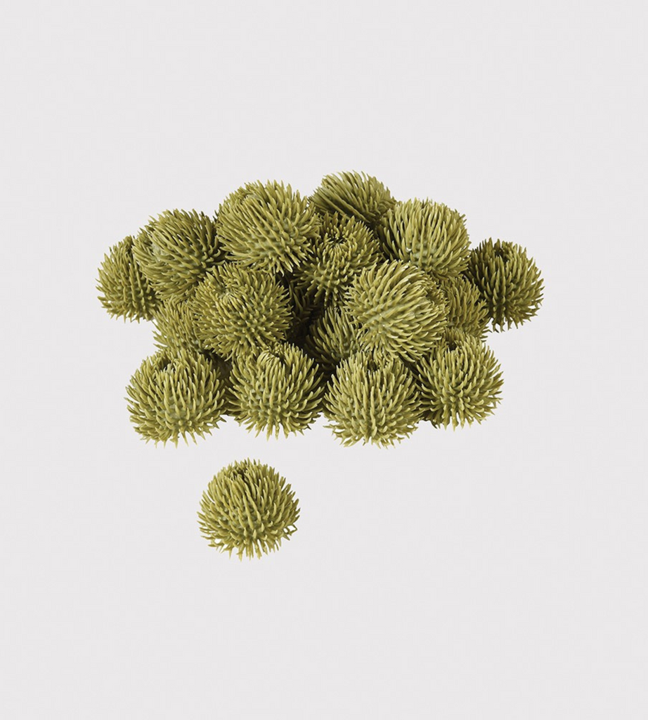 Bag of 24 Green Echinops Balls