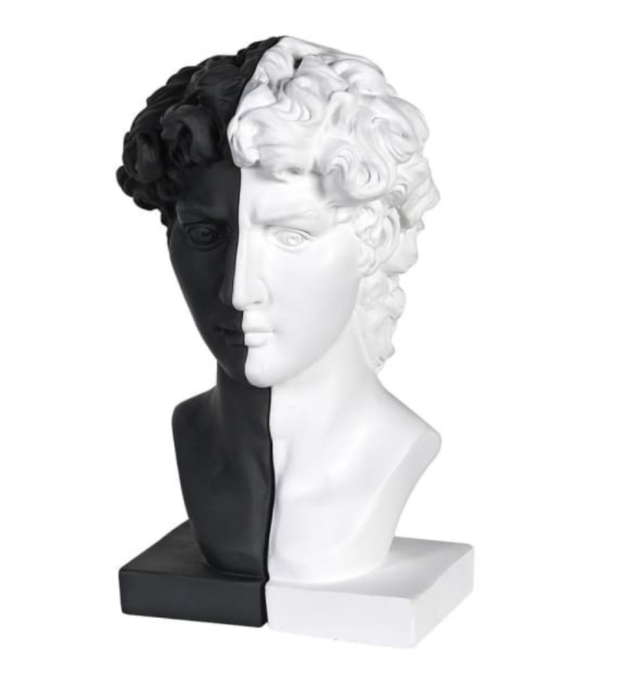 Black and White Male Bust Bookends